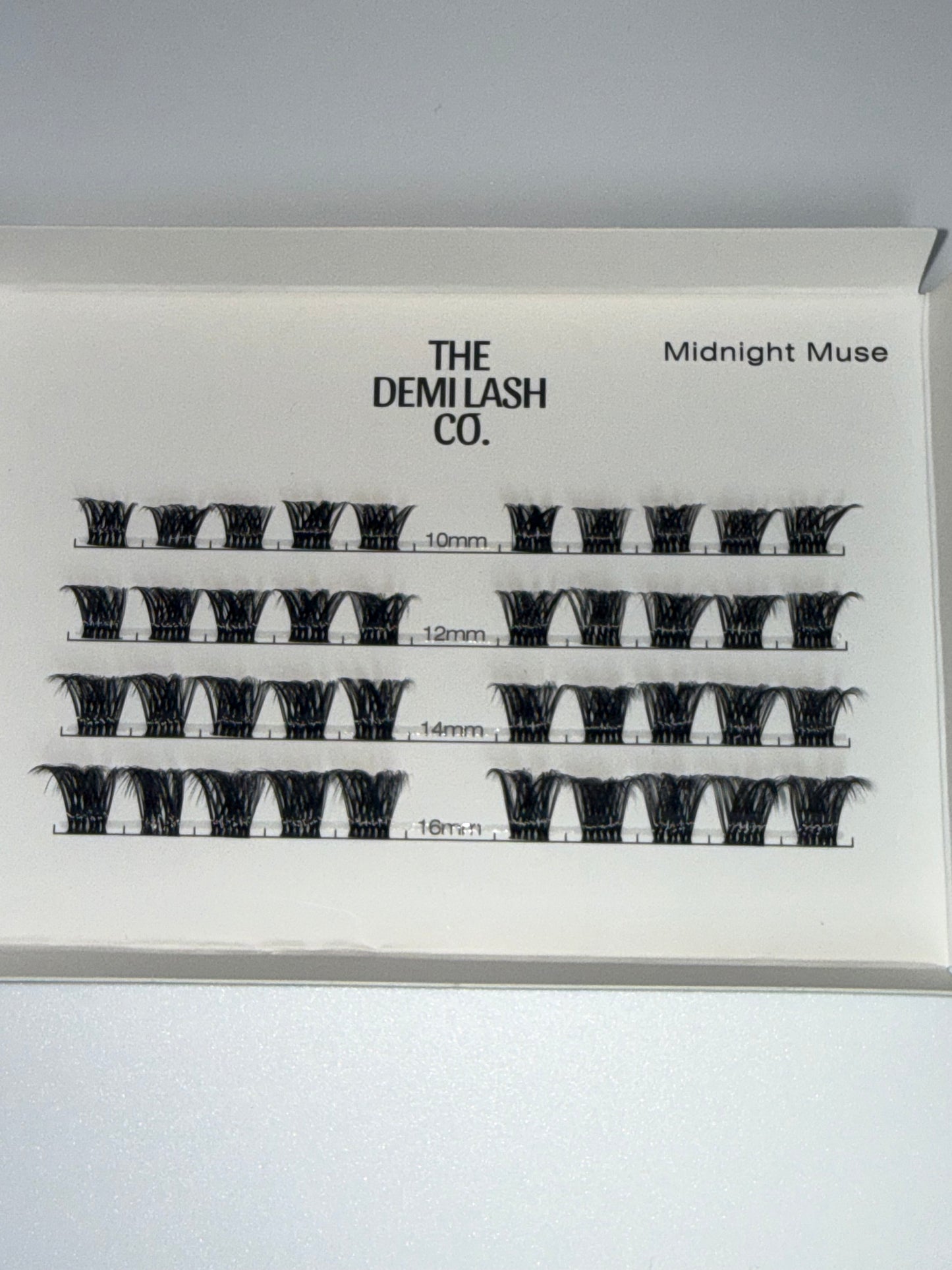 Midnight Muse