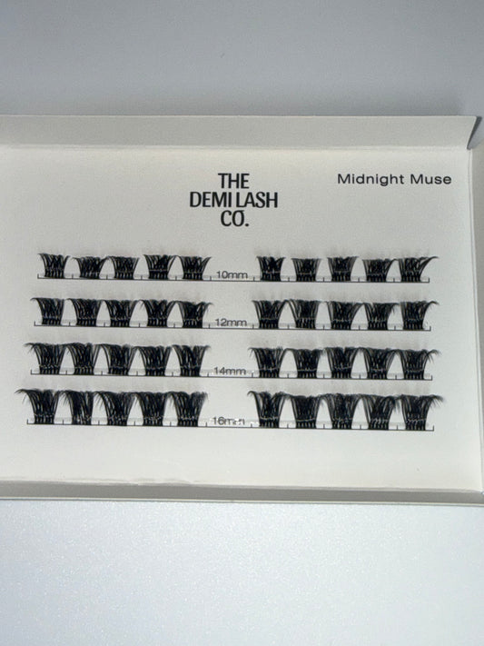Midnight Muse